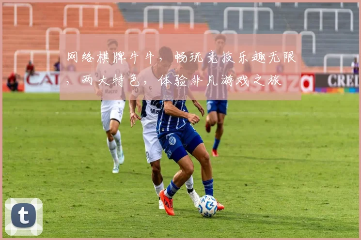 网络棋牌牛牛，畅玩竞技乐趣无限，两大特色，体验非凡游戏之旅