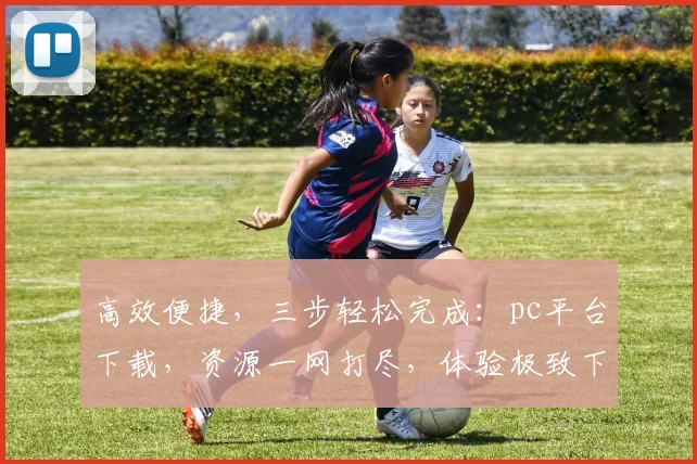 高效便捷，三步轻松完成：pc平台下载，资源一网打尽，体验极致下载之旅，速来体验