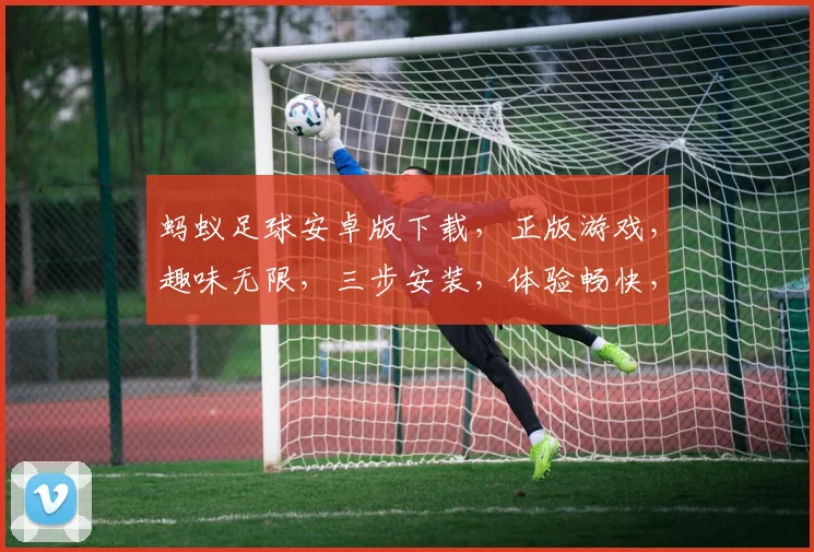 蚂蚁足球安卓版下载，正版游戏，趣味无限，三步安装，体验畅快，不容错过